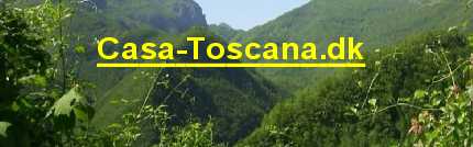 Udlejning af ferieboliger i Toscana. Sk�n bjerglandsby t�t p� Firenze.